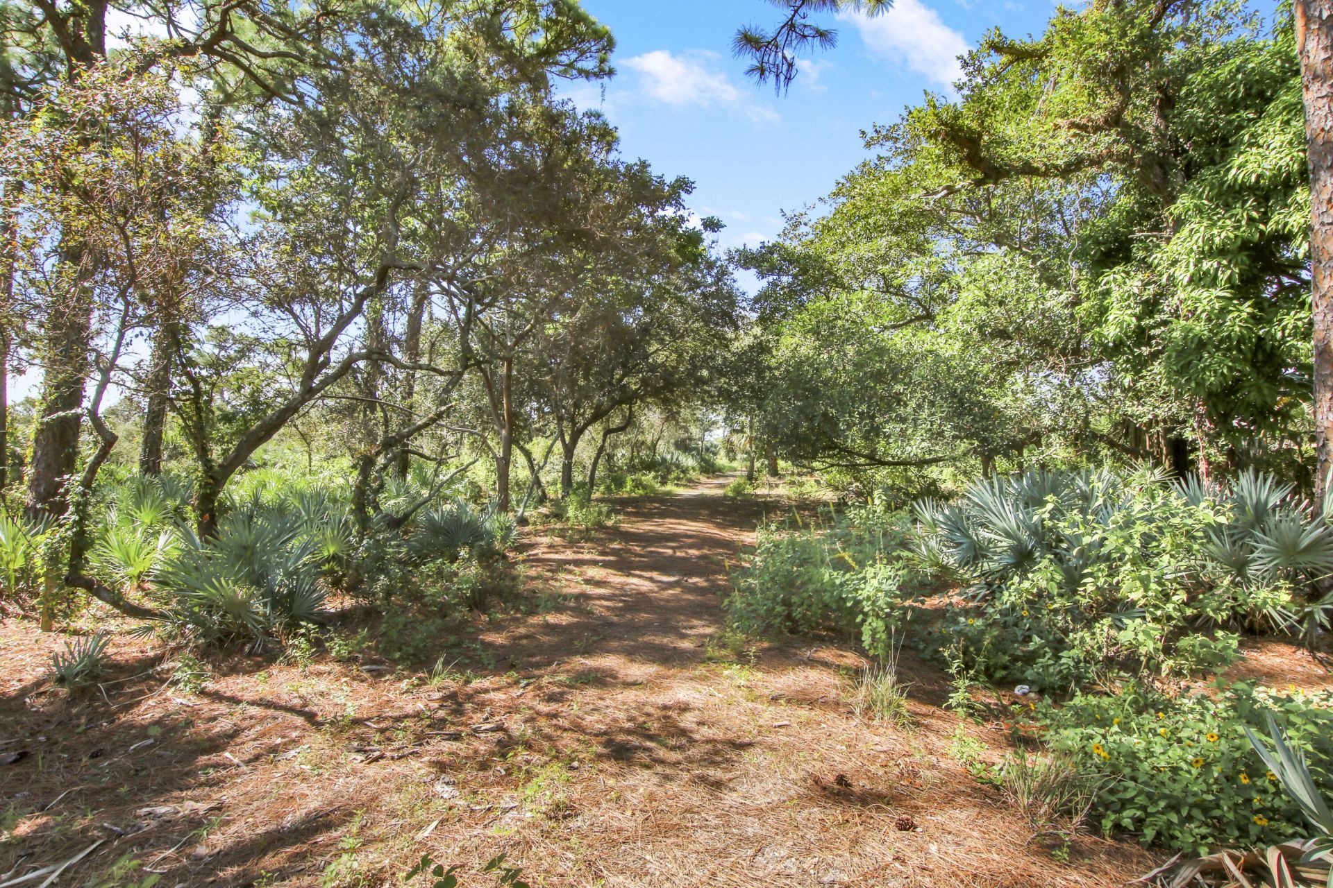 19823 Hibiscus Drive, Jupiter, FL 33469 Photo