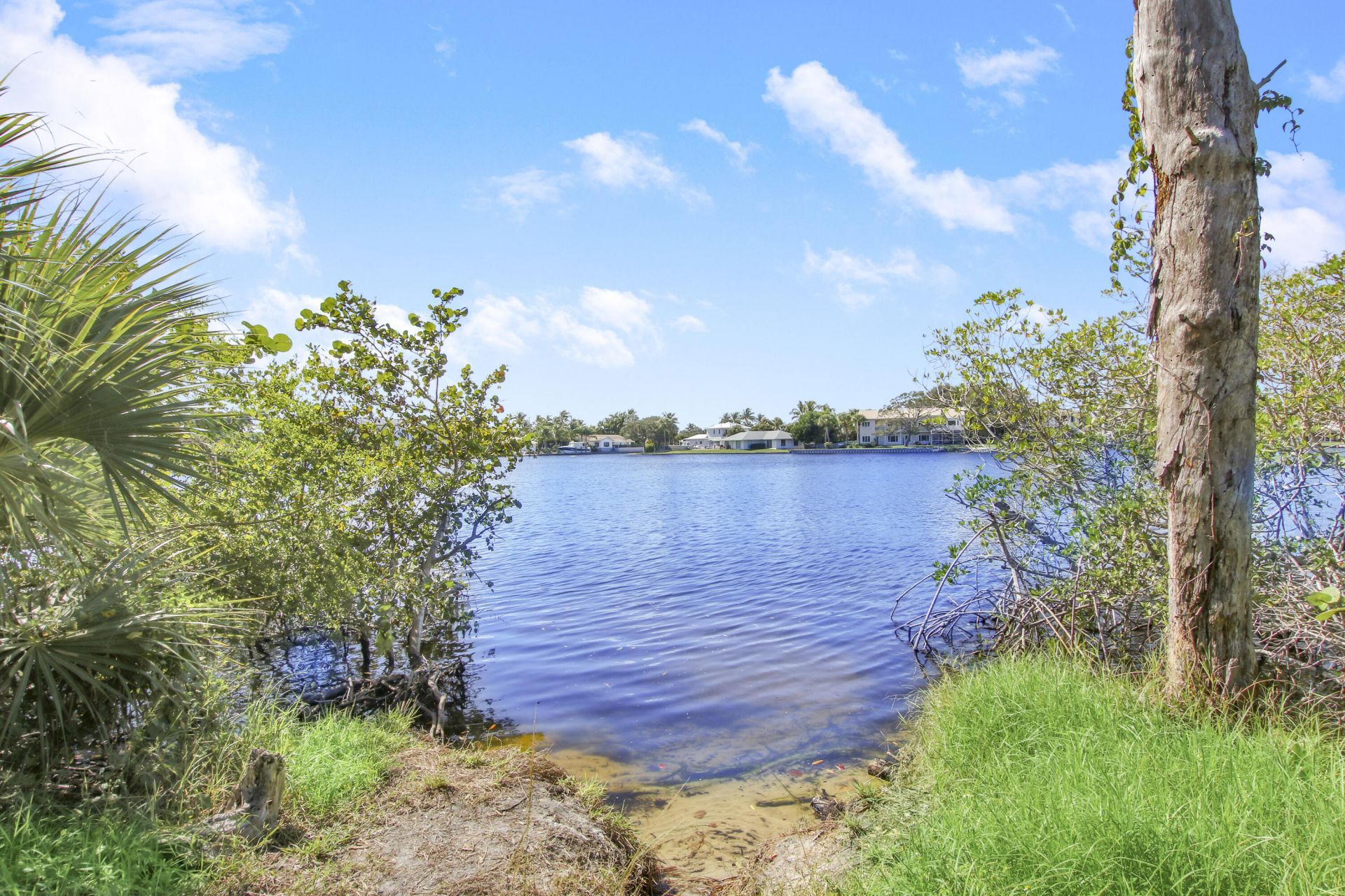 19823 Hibiscus Drive, Jupiter, FL 33469 Photo