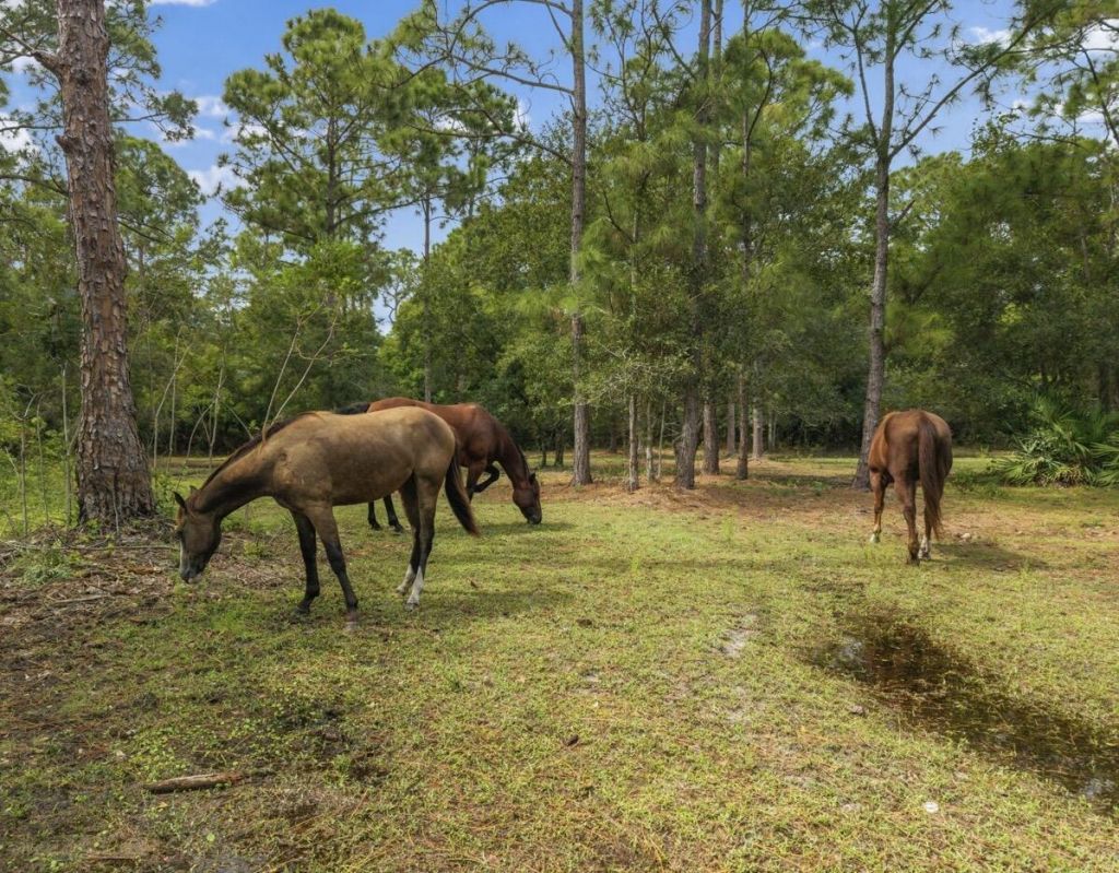 13351 NE 22nd Avenue, Okeechobee, FL 34972 Photo