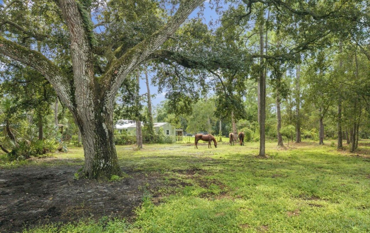 13351 NE 22nd Avenue, Okeechobee, FL 34972 Photo