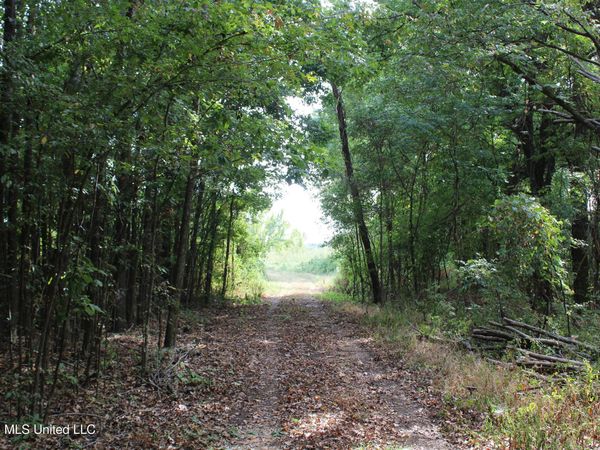 3 Horn Lake Road, Nesbit, MS 38651