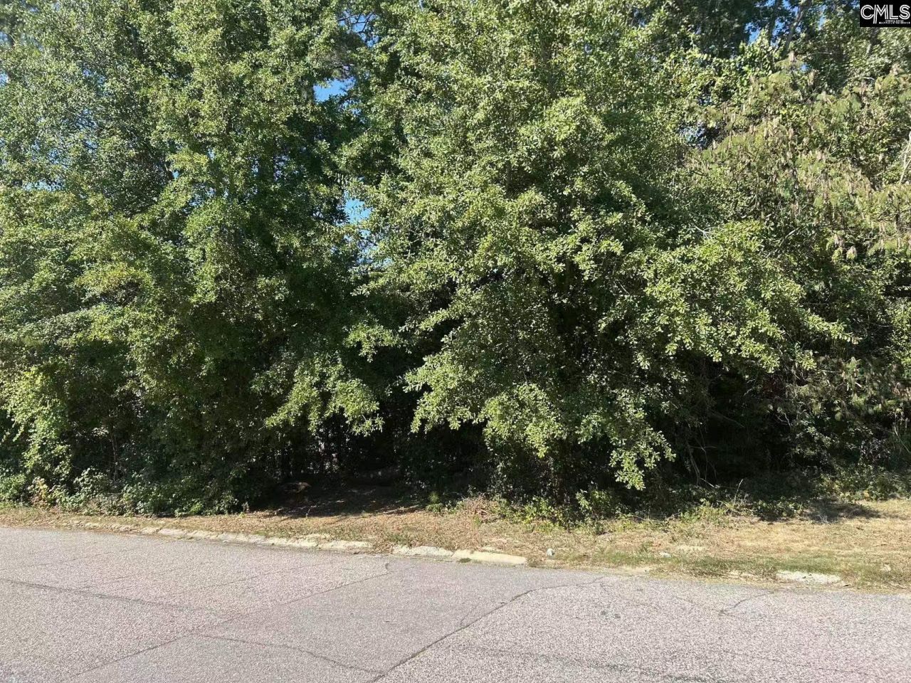 300 Harrow Drive  Photo 5