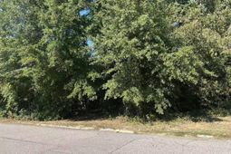 300 Harrow Drive  photo 4