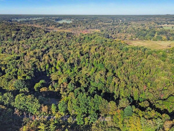 N County Line Road, Watervliet, MI 49098