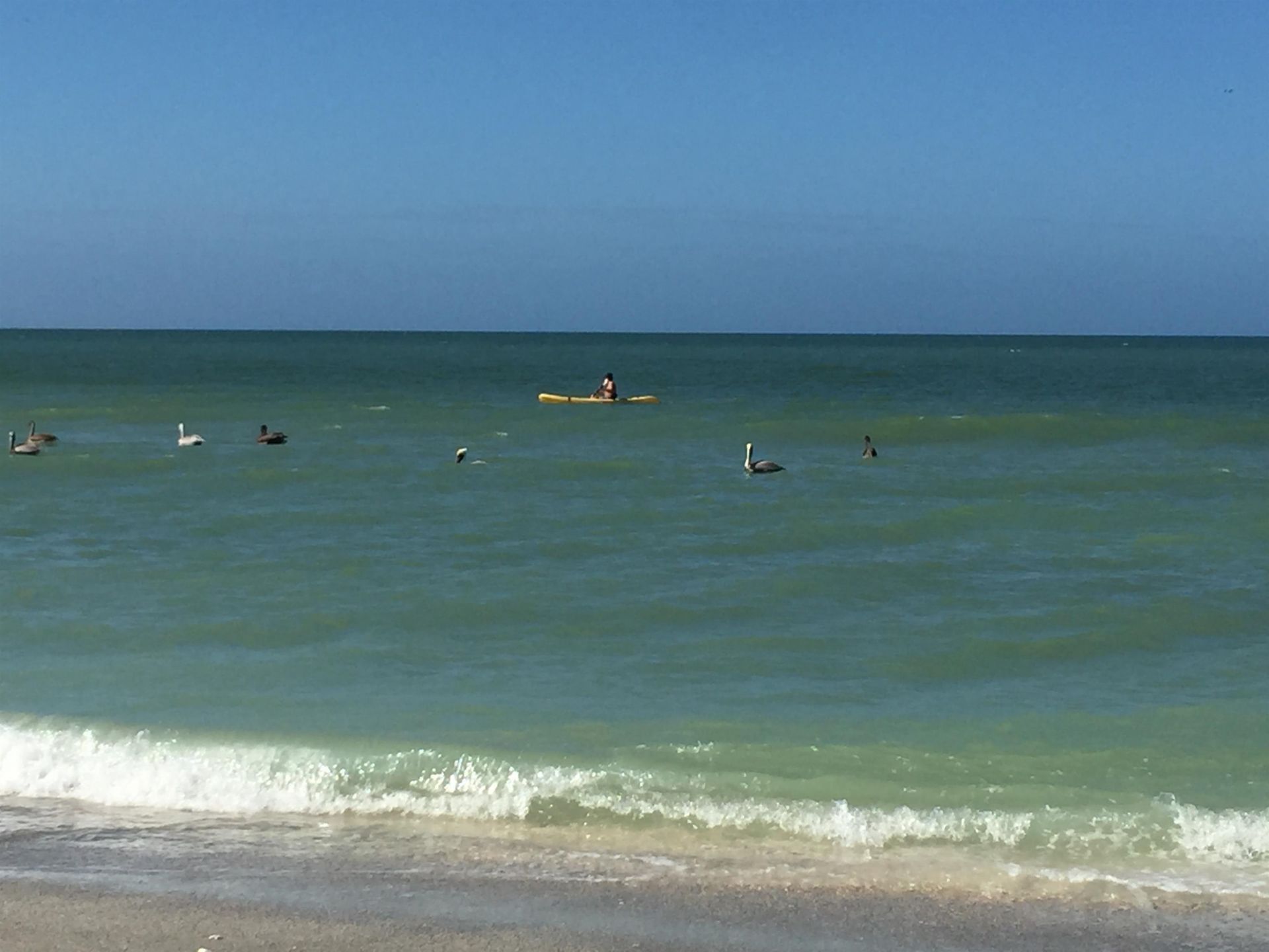 200 Periwinkle Way, Unit 232, Sanibel, FL 33957 Photo