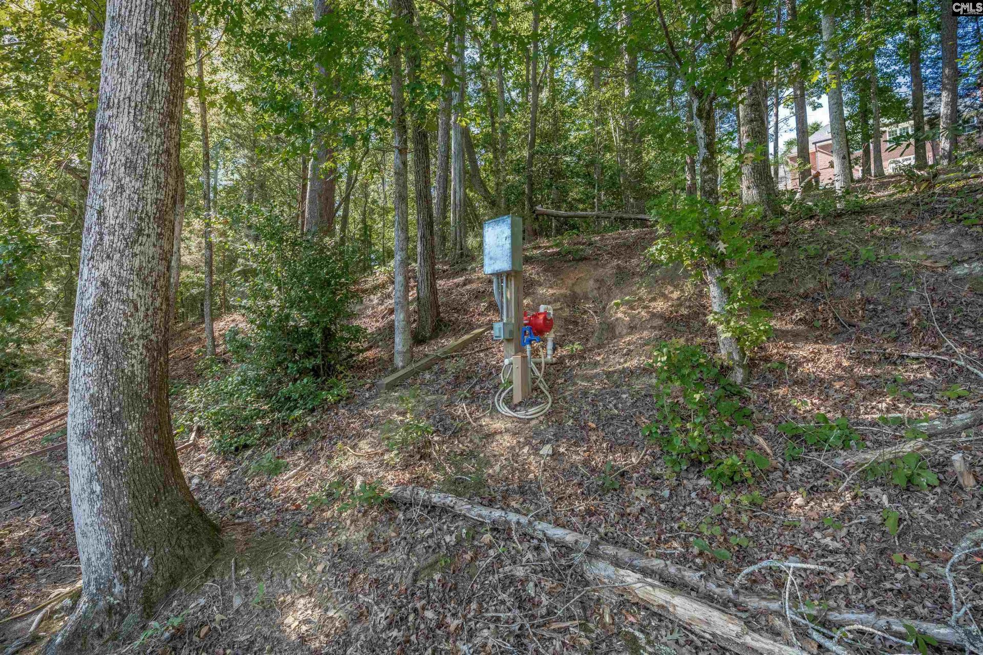 181 Lake Mallard Lane  Photo 56
