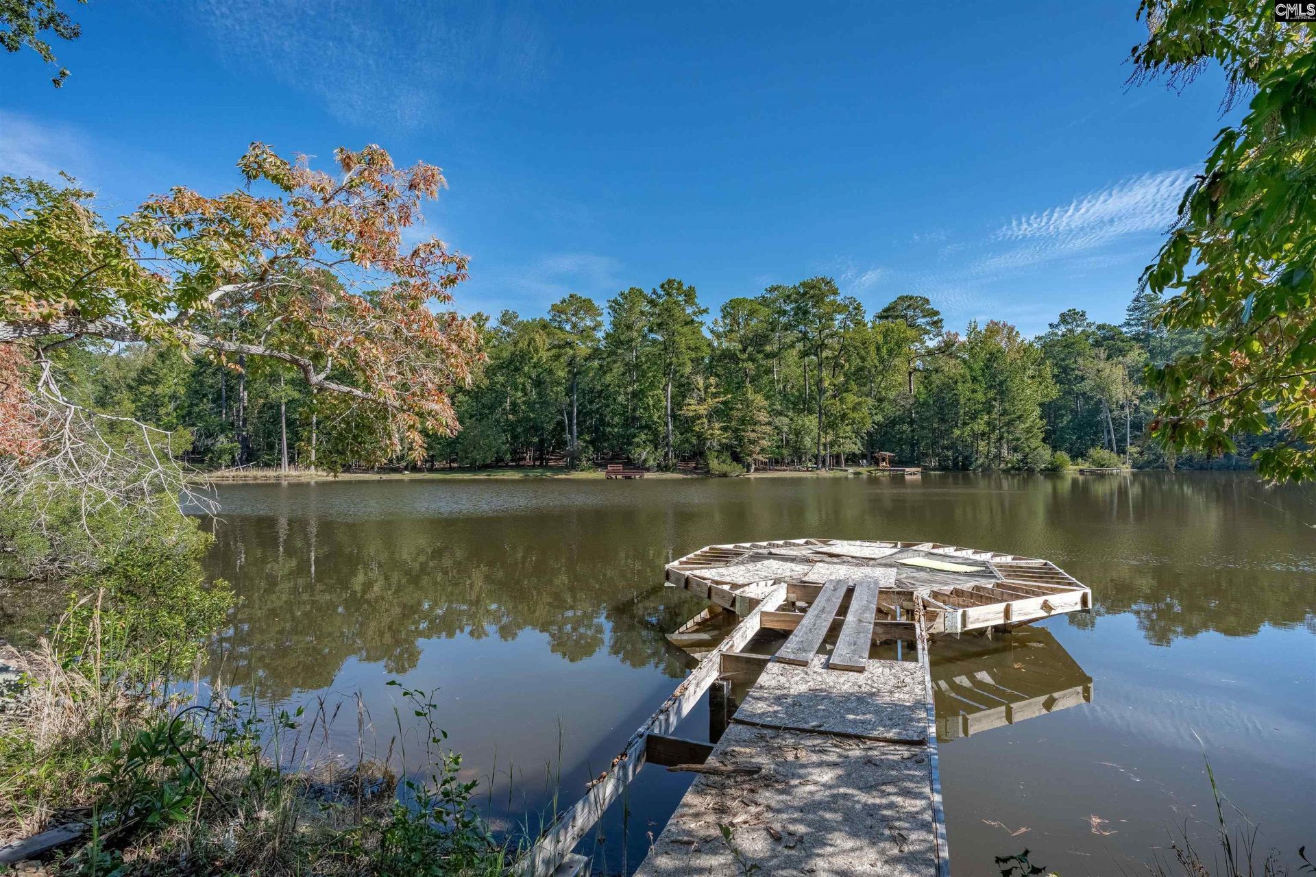 181 Lake Mallard Lane  Photo 57