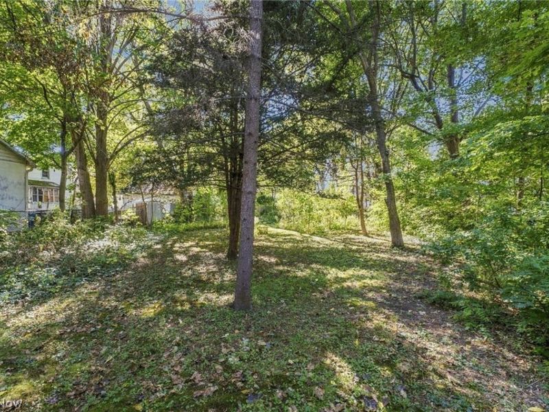 370 Bank Street, Painesville, OH 44077 Photo 43