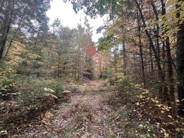 OLD 38 ROAD, Amberg, WI 54102