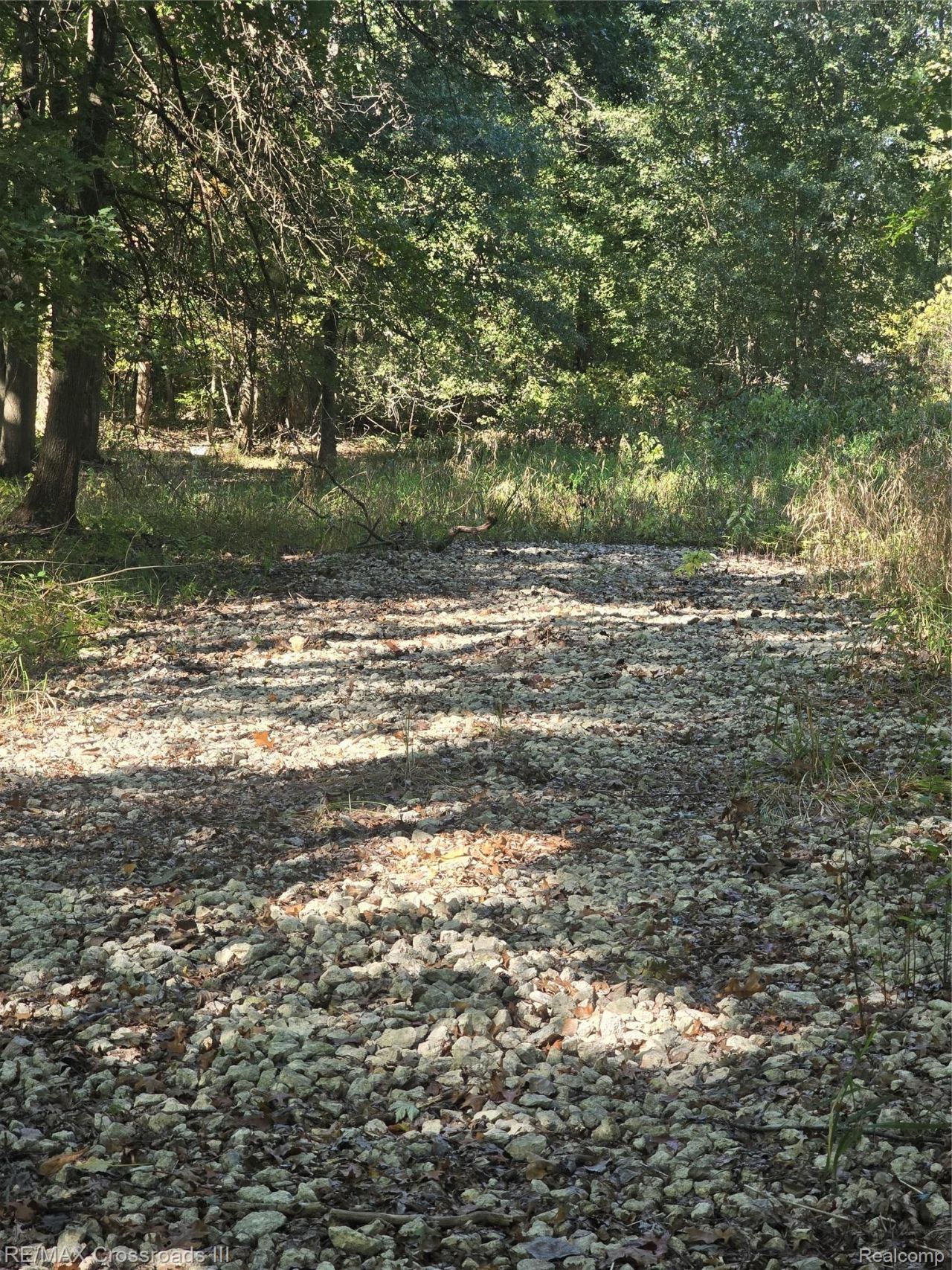 18800 Martinsville Road, Sumpter Township, Mi 48111 Main Photo
