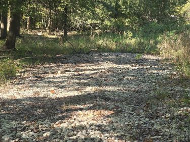 18800 Martinsville Road, Sumpter Township, Mi 48111