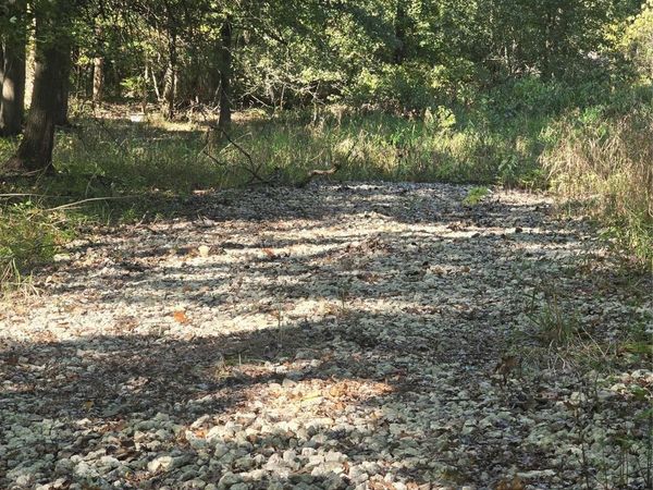 18800 Martinsville Road, Sumpter Township, Mi 48111