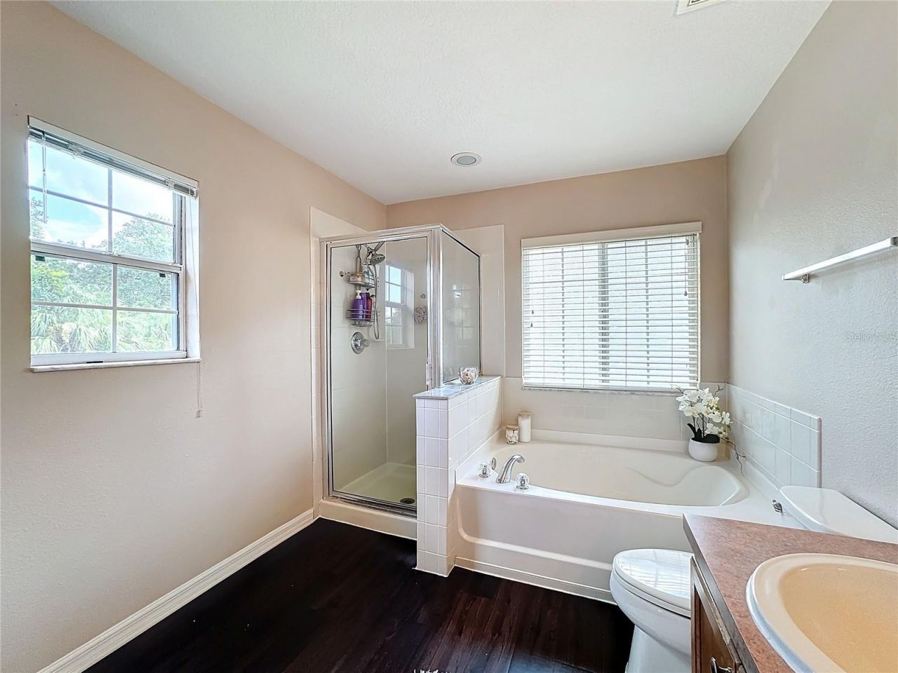 6312 Magnolia Trails Lane, Gibsonton, FL 33534 Photo
