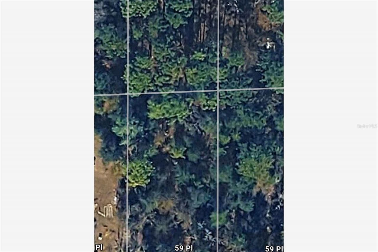 Ne 59th Place, Bronson, FL 32621 Photo