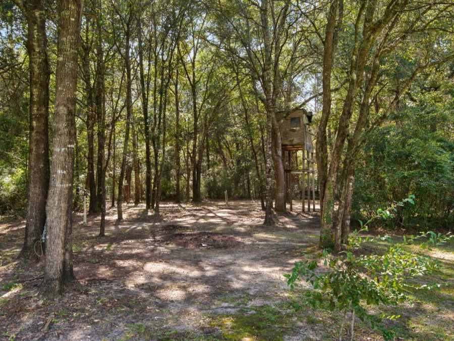 Property Image 45