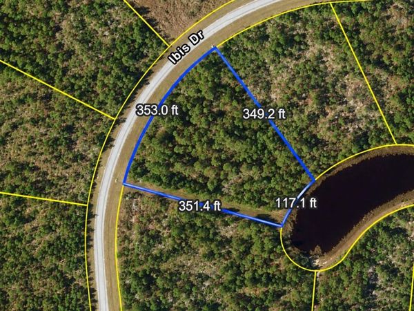 126 IBIS Drive, Wewahitchka, FL 32465
