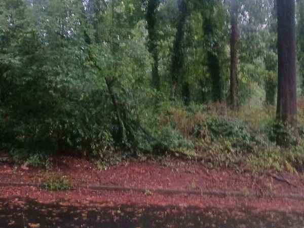 3193 Altacrest Drive, Scottdale, GA 30079