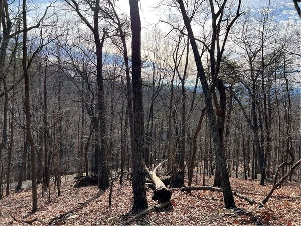 4528 Sassafras Mountain Trail , Jasper, GA 30143