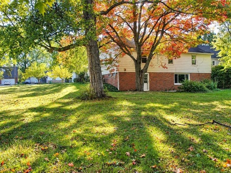 1974 Brookdale Road, Richmond Heights, OH 44143 Photo 28