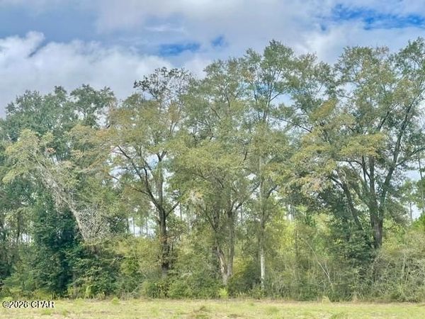 3359 Woodrest Road , Cottondale, FL 32431