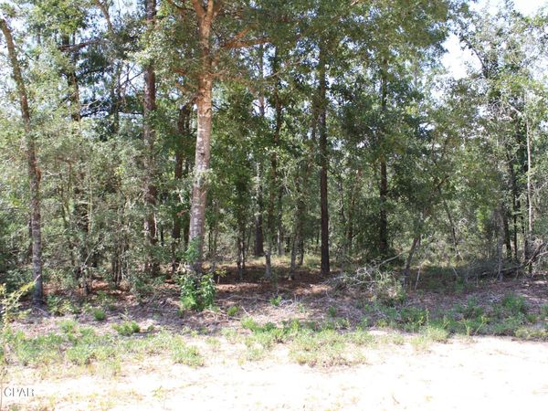 TBD Monogahela Avenue , Alford, FL 32420