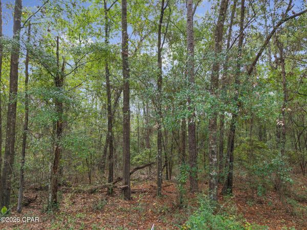 Lot 24 Remington Place , Bonifay, FL 32425
