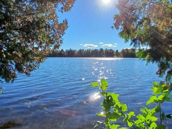 2625 River Bluff Drive, Alpena, MI 49707