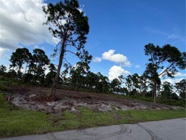 1107 Garibaldi ST E, LEHIGH ACRES, FL 33974