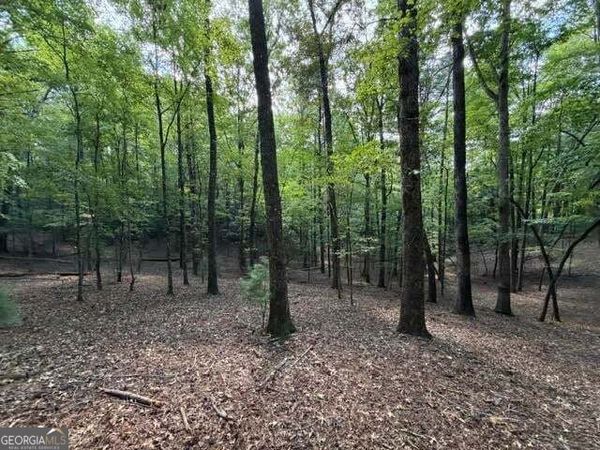 556 Satsuma Court S, Ellijay, GA 30540