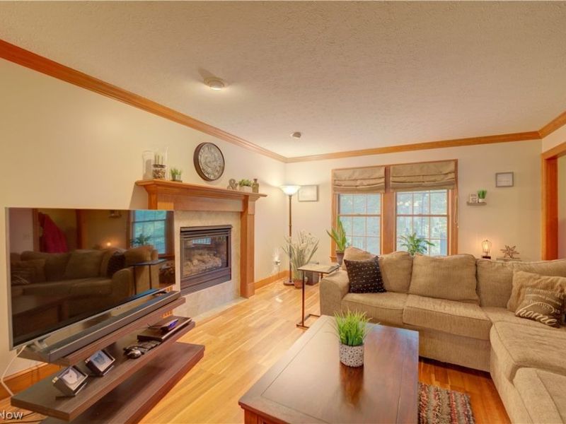 9831 Aldridge Drive, Columbia Station, OH 44028 Photo 19