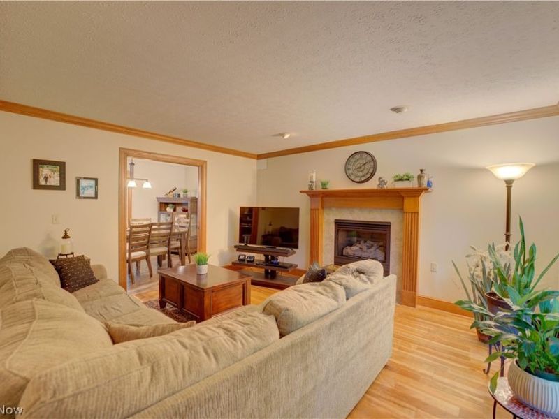 9831 Aldridge Drive, Columbia Station, OH 44028 Photo 20
