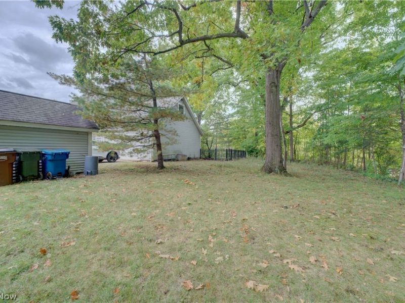 9831 Aldridge Drive, Columbia Station, OH 44028 Photo 38