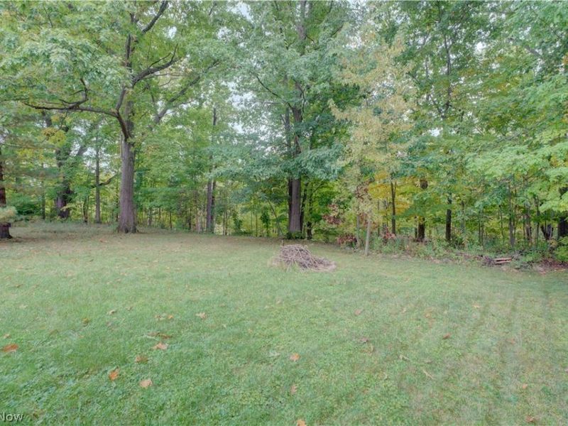 9831 Aldridge Drive, Columbia Station, OH 44028 Photo 6