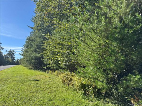 lot 1 Chapin Trail , Bethel, NY 12720