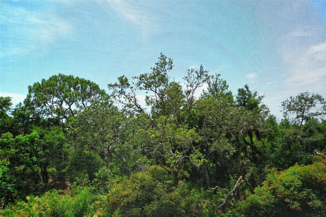 401 N Point Road, Unit 404, Osprey, FL 34229 Photo