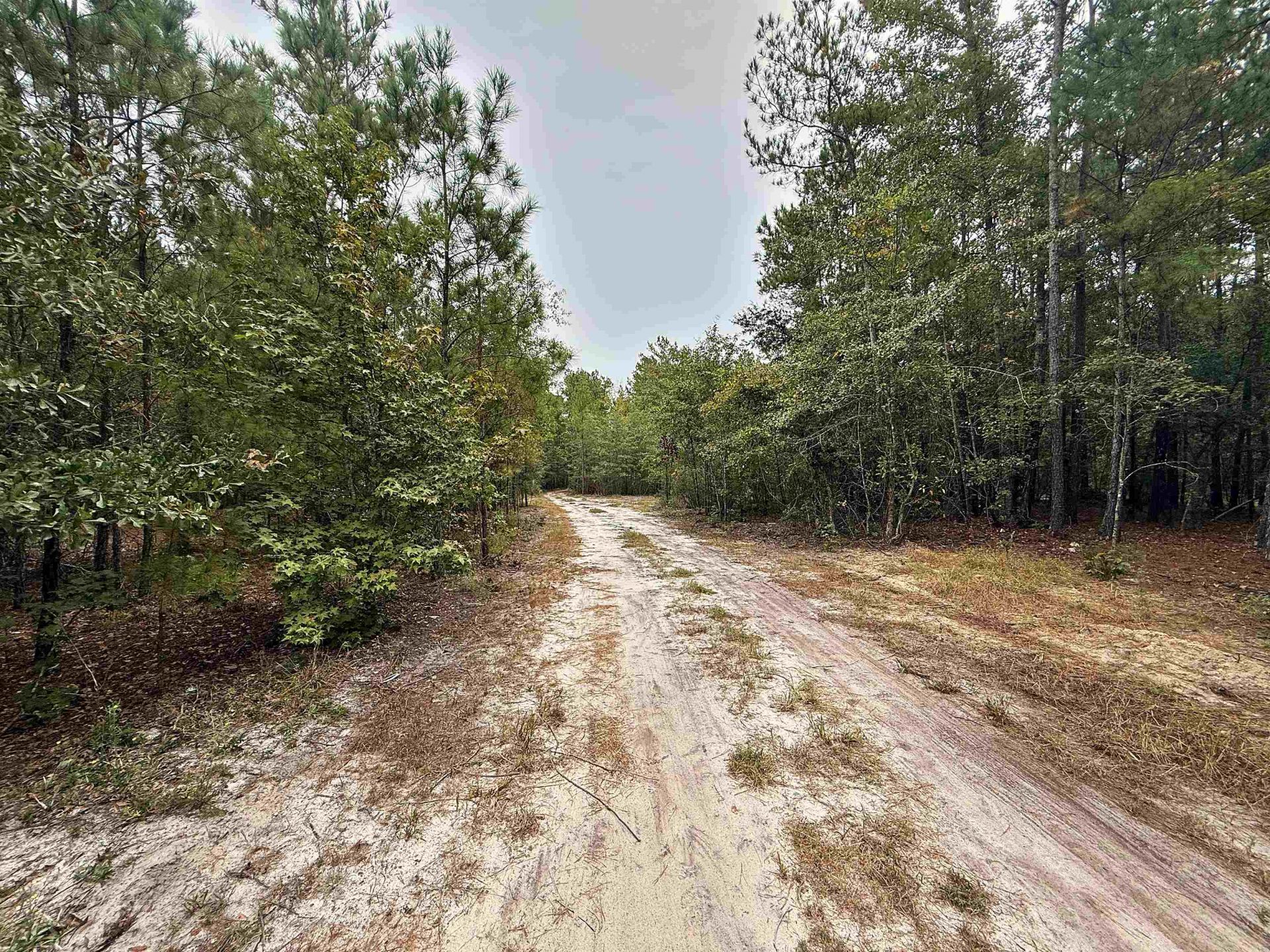 1682 Carriage Dr. Photo 10