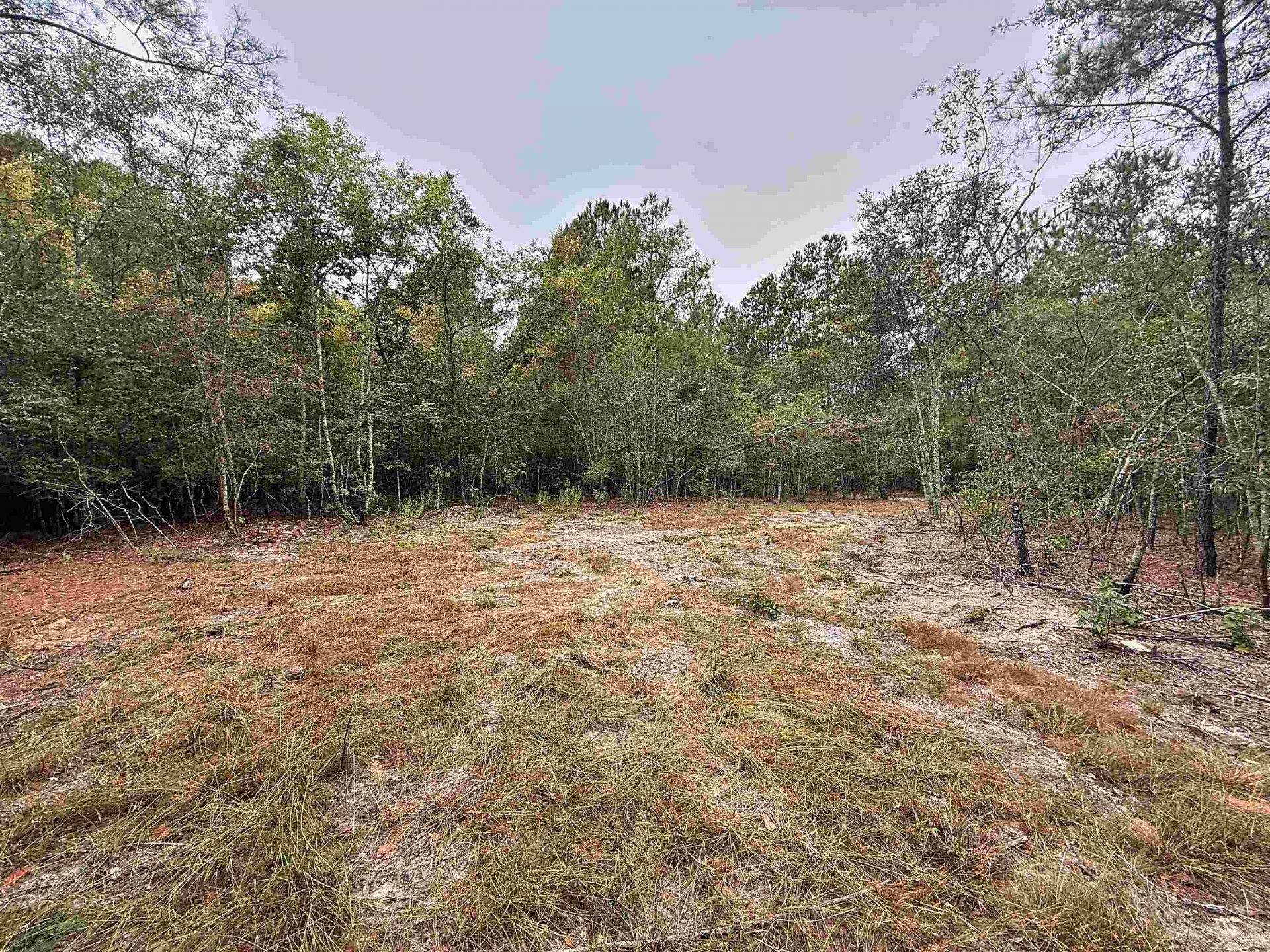 1682 Carriage Dr. Photo 4