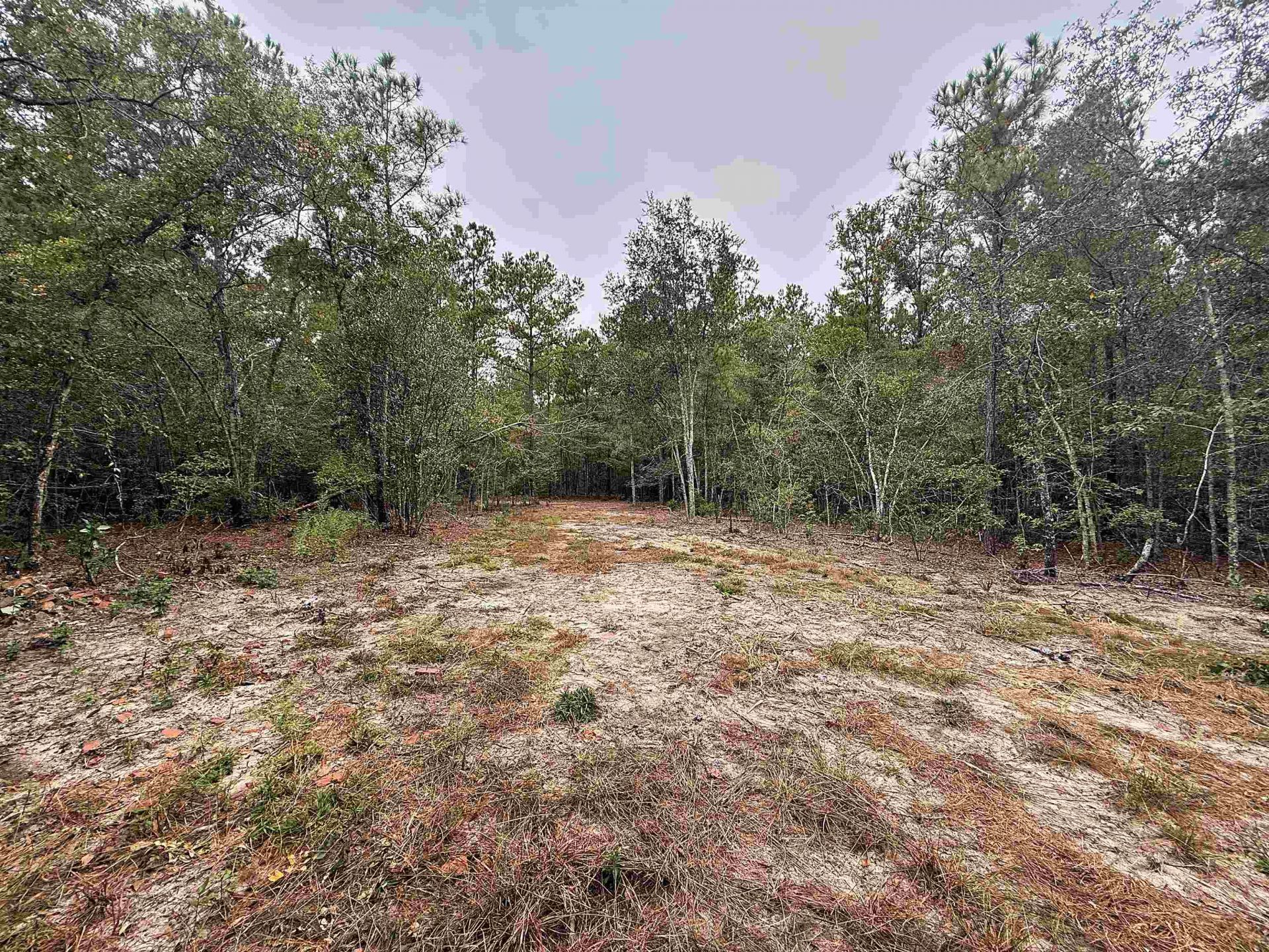 1682 Carriage Dr. Photo 5