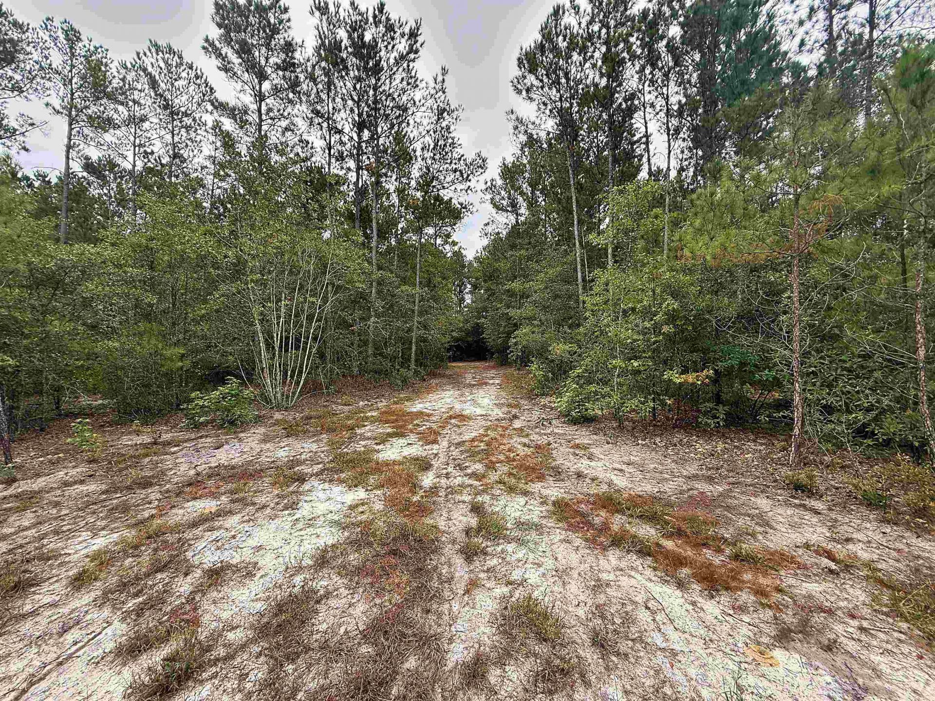 1682 Carriage Dr. Photo 7
