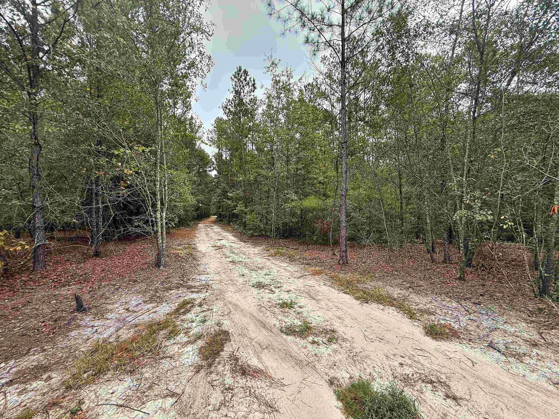 1682 Carriage Dr. Photo 8