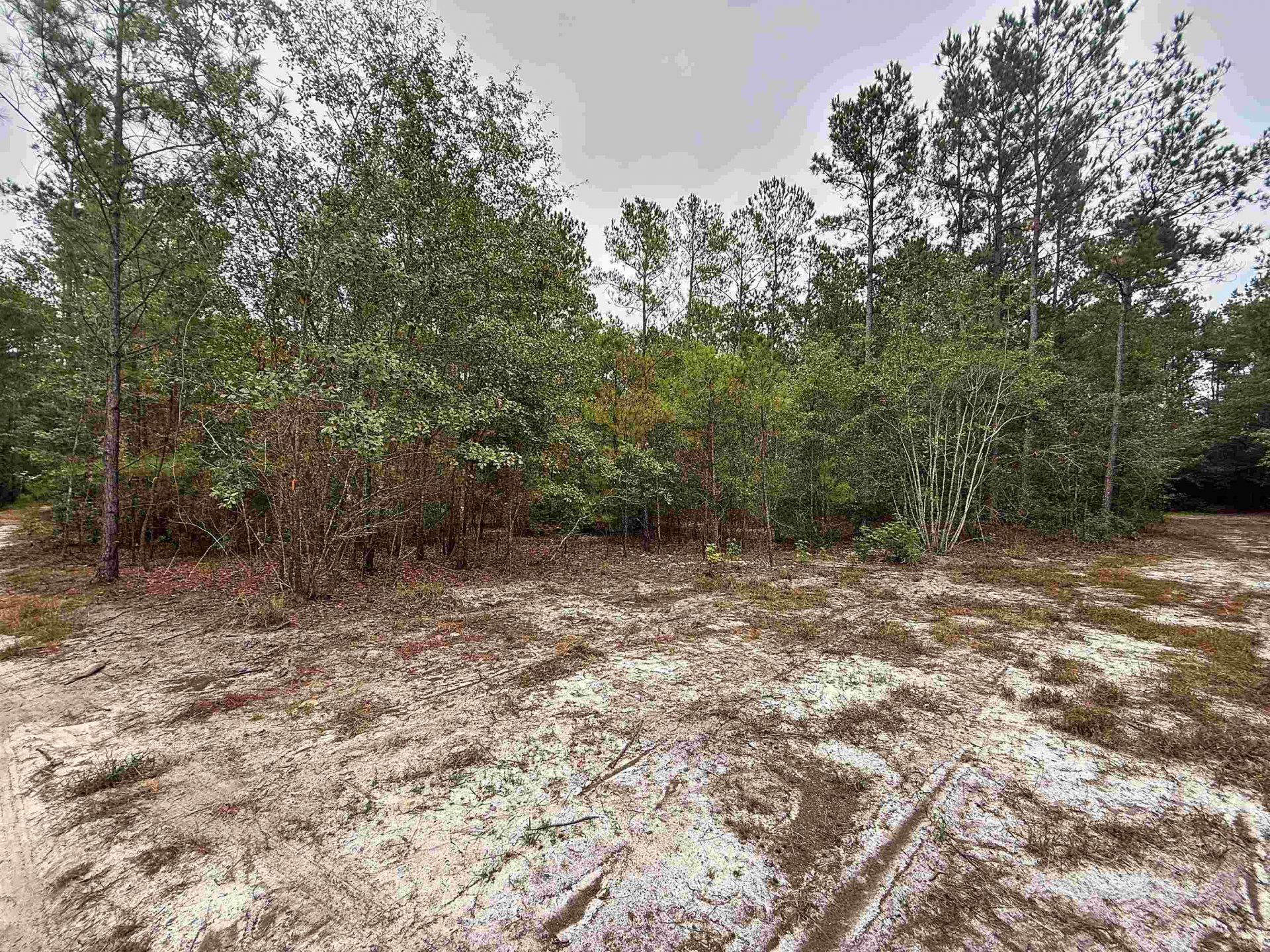 1682 Carriage Dr. Photo 9