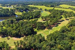 180 Persimmon Drive photo 4