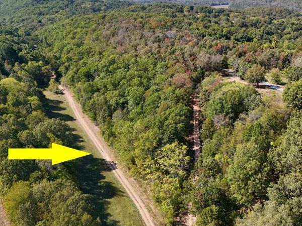 355 Gunther, Cushman, AR 72526
