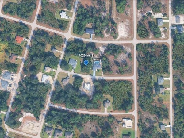 1029 IRIS STREET E, LEHIGH ACRES, FL 33974