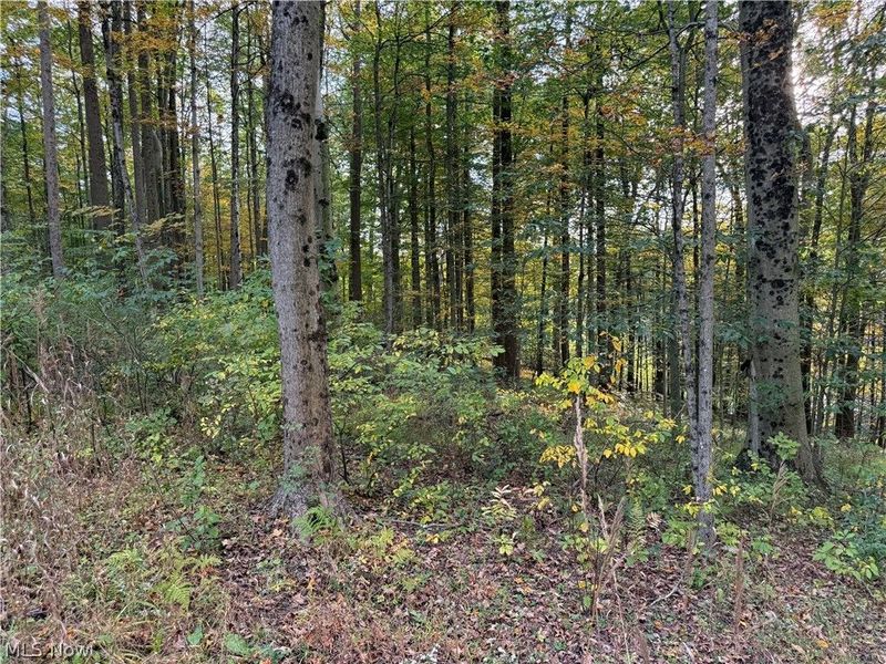 8020 Arbon Drive, Millersburg, OH 44654 Photo 36