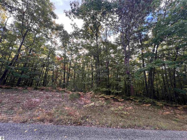 53 Bramblewood Drive, Cadillac, MI 49601