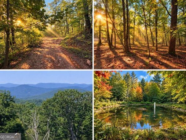 14.06 Old Burnt Mountain Road, Ellijay, GA 30536