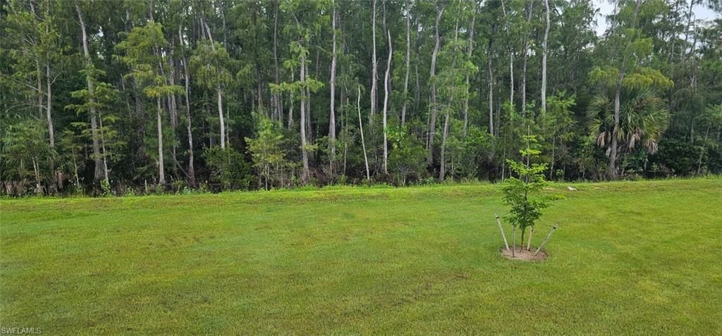 8405 Everly Preserve Dr , Lehigh Acres, FL 33971 Photo