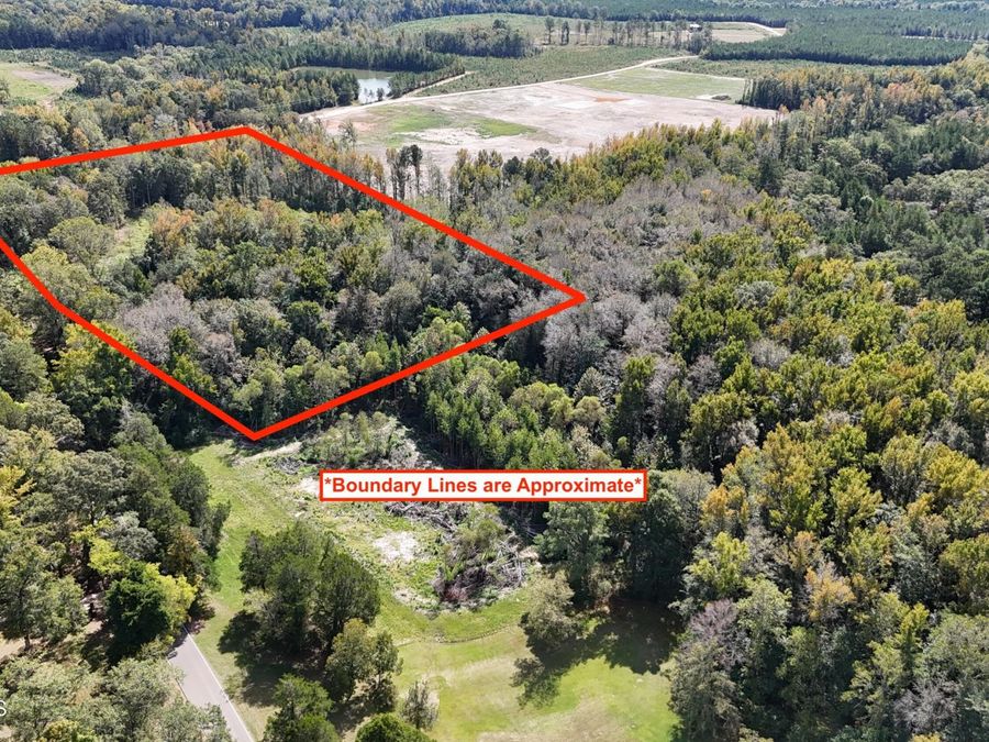 Property Image 6