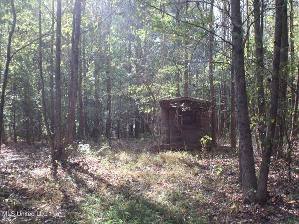 9 Star Landing Road, Nesbit, MS 38651